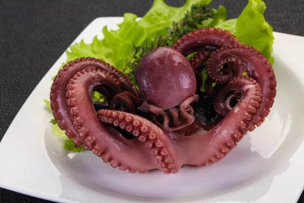 Boiled octopus with herbs — Stock Photo, Image