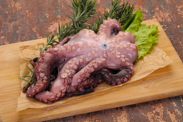 Ruwe octopus klaar voor het koken — Stockfoto