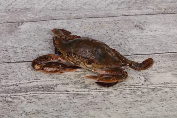 Raw crab - ready for cooking — Stock Photo, Image