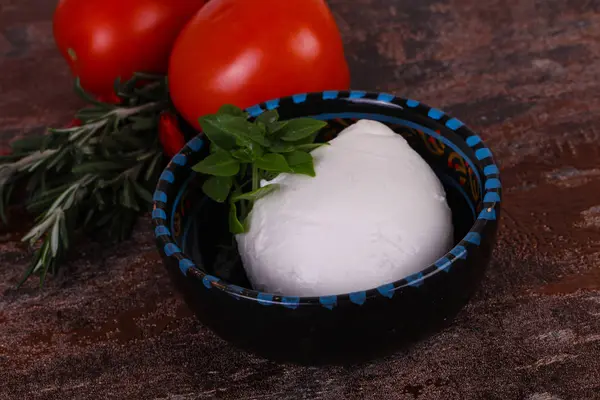 Mozzarella italiana palla di formaggio — Foto Stock