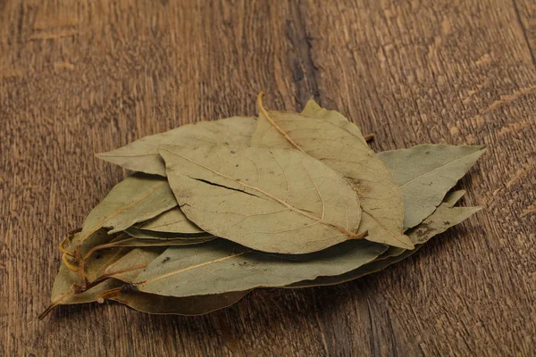 Сухий лаврового листя — стокове фото