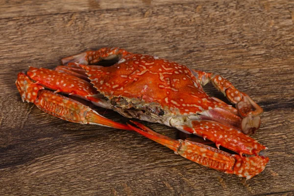 Kokt krabbe - spiseferdig – stockfoto
