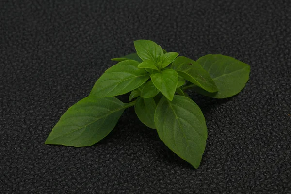 Folhas de manjericão verde fresco - para cozinhar — Fotografia de Stock