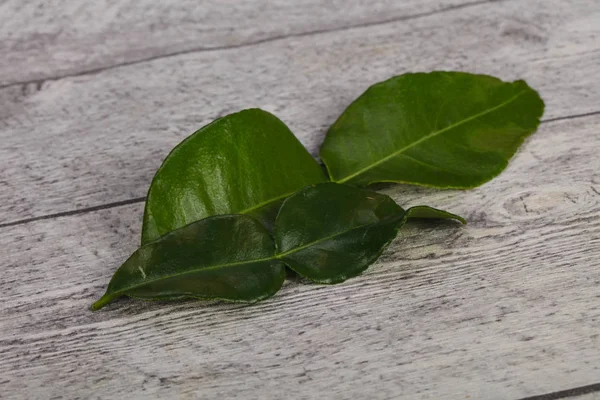 Kafir lime leaves - addition for Asian cuisine — Stock Photo, Image