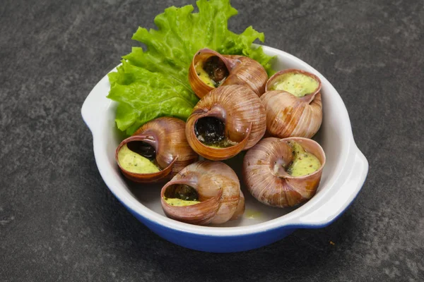 Cucina francese - Escargot con salsa — Foto Stock