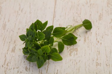 Yeşil fesleğen yaprağı