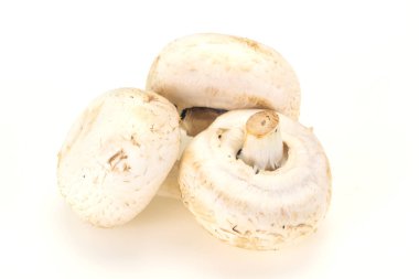 Yemek pişirmek için Ham Champignon yığını