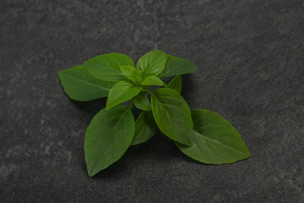 Verse groene basilicum blaadjes-voor het koken — Stockfoto