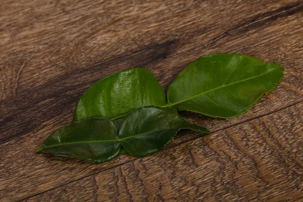 Kafir lime leaves - addition for Asian cuisine — Stock Photo, Image