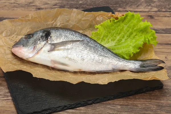Peixe Dorada cru para cozinhar — Fotografia de Stock