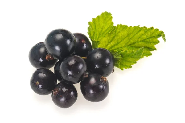 Fresh ripe sweet black currant — Stock Photo, Image