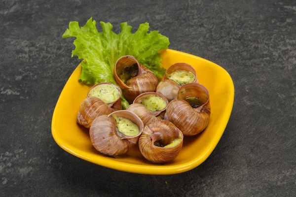 Cozinha francesa - Escargot com molho — Fotografia de Stock