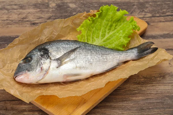 RAW Dorada fisk för matlagning — Stockfoto