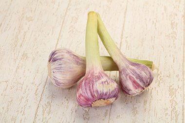 Genç sarımsak yığın