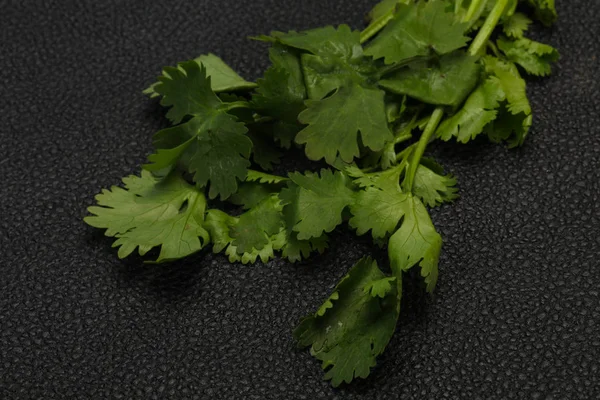 Fresh ripe  Green cilantro leaves — Stock Photo, Image