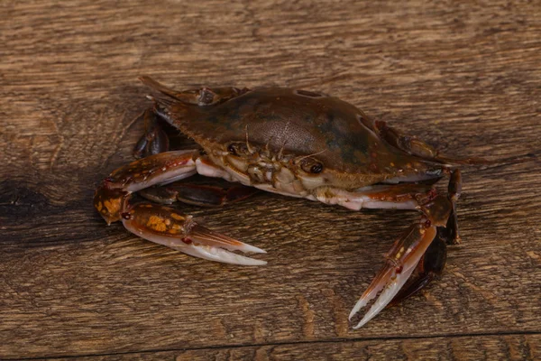 Rohe Krabben - bereit zum Kochen — Stockfoto