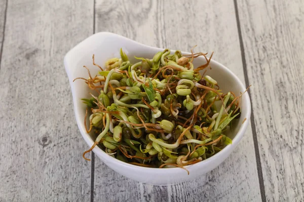 Mash bean sprout — Stockfoto