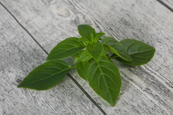 Verse groene basilicum blaadjes-voor het koken — Stockfoto