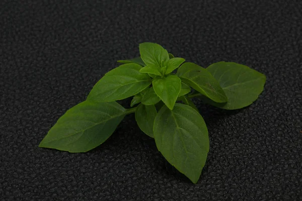 Färska gröna basilikablad-för matlagning — Stockfoto