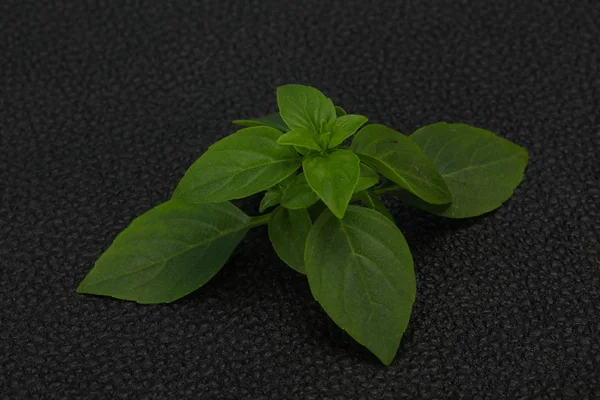 Verse groene basilicum blaadjes-voor het koken — Stockfoto