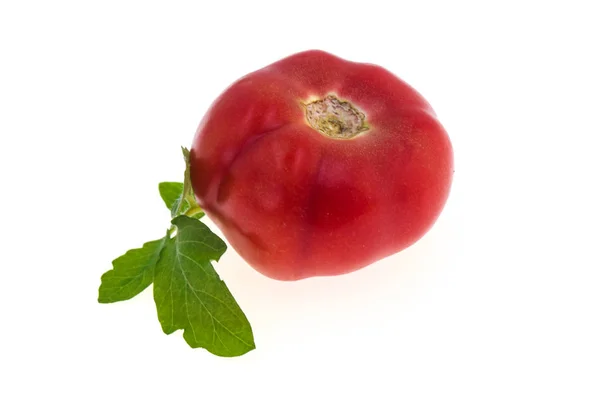 Tomato isolated on white background — Stock Photo, Image