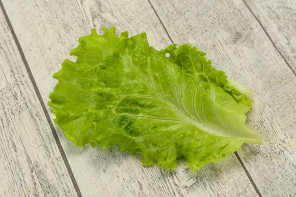 Cucina alimentare Foglie di insalata verde — Foto Stock