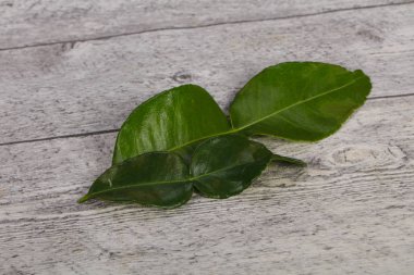 Kafir kireç yaprakları - Asya mutfağı için ek
