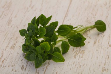 Yeşil fesleğen yaprağı