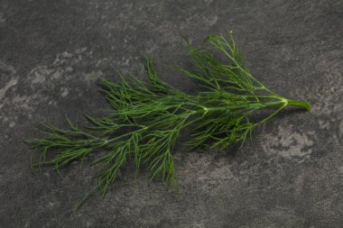 Taze yeşil dereotu bitki dalı