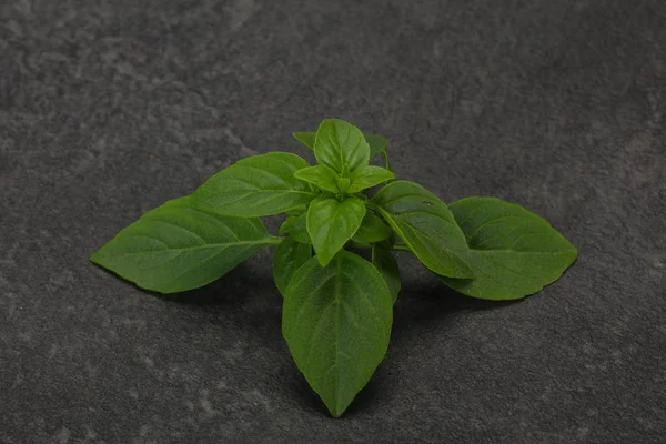 Verse groene basilicum blaadjes-voor het koken — Stockfoto