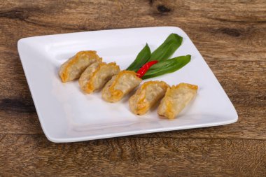 Japon geleneksel mutfağı Gyoza köfte