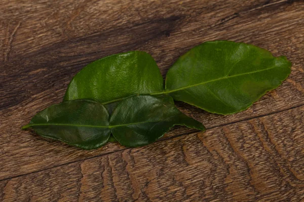 Kafir lime leaves - addition for Asian cuisine — Stock Photo, Image