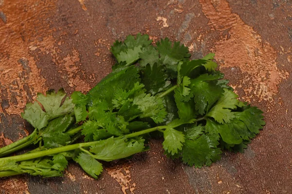 Fresco maduro hojas de cilantro verde — Foto de Stock