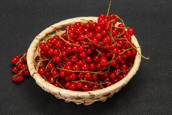 Sweet tasty fresh Red currant — Stock Photo, Image