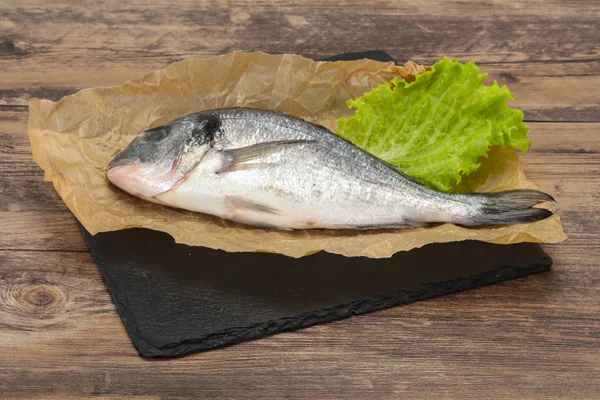 Peixe Dorada cru para cozinhar — Fotografia de Stock