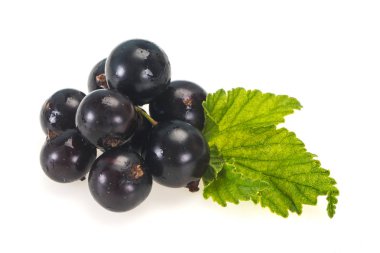 Taze olgun tatlı siyah frenk üzümü