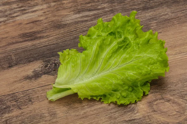 Cucina alimentare Foglie di insalata verde — Foto Stock