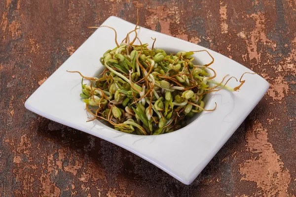 Mash bean sprout — Stockfoto