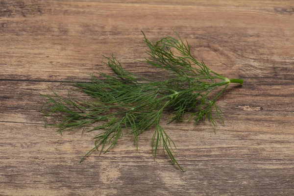 Frischer grüner Dillkrautzweig — Stockfoto