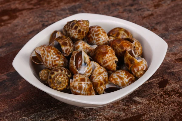 Smakelijke mollusk-gevlekte Babylon in de kom — Stockfoto