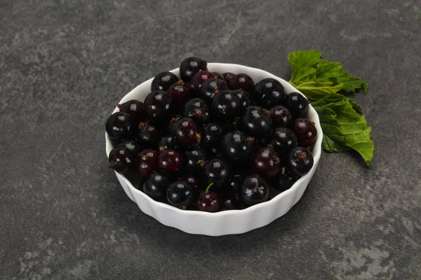 Fresh ripe sweet black currant — Stock Photo, Image