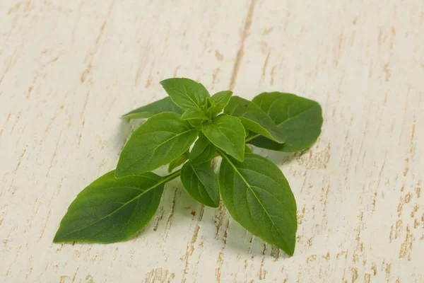 Fresh green Basil leaves - for cooking — Stock Photo, Image