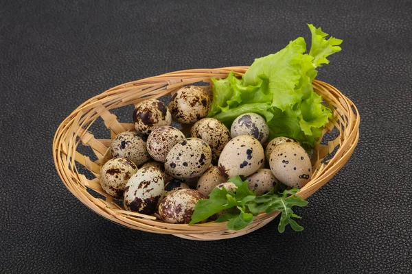 Huevos de codorniz en la cesta — Foto de Stock