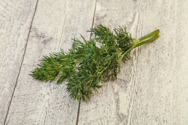 Aroma çeşnisi - Arkaplanda Yeşil Dill dalı