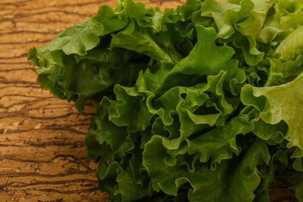 Cozinha Vegan Folhas Heap Salada Alface Verde — Fotografia de Stock