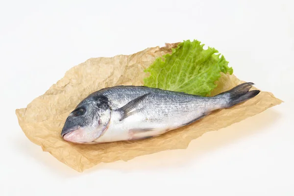 Rauwe Dorada Vis Klaar Koken — Stockfoto