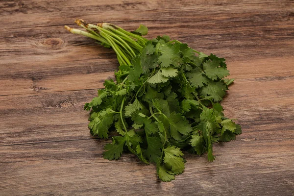 Aroma Cilantro Verde Cilantro Hojas Montón — Foto de Stock