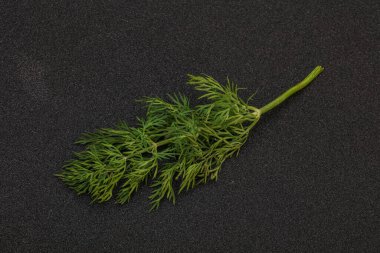 Aroma çeşnisi - Arkaplanda Yeşil Dill dalı