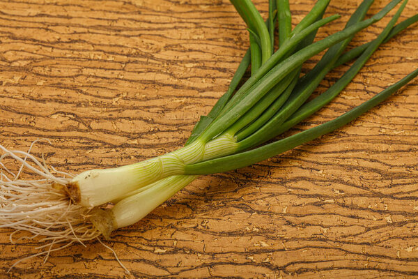 Young fresh tasty green onion seasoning