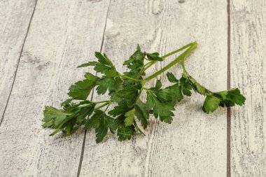 Aroma Green taze maydanoz dalı bitkisi